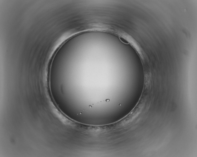 X0000111891099200907231551