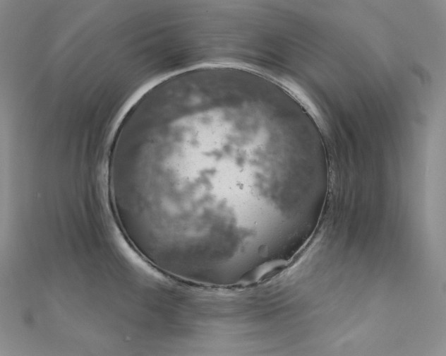 X0000111891100200907231551