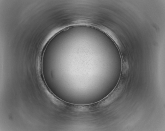 X0000111891101200907231551
