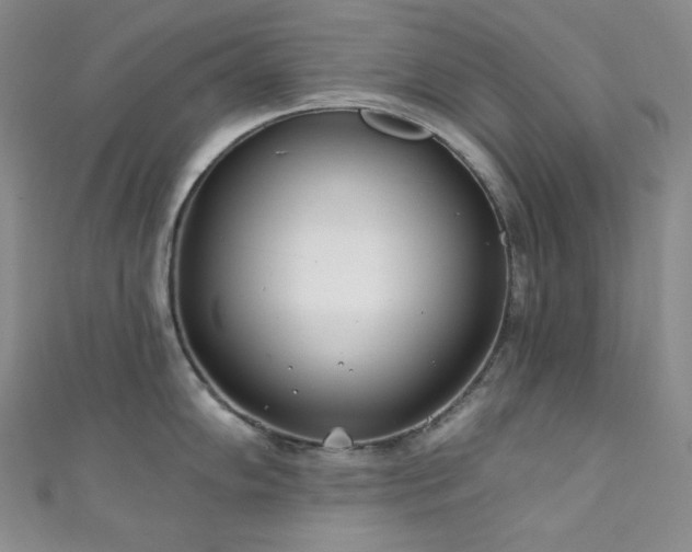 X0000111891102200907231551