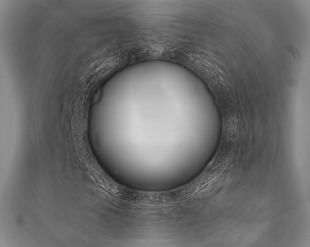 X0000111891105200907231550