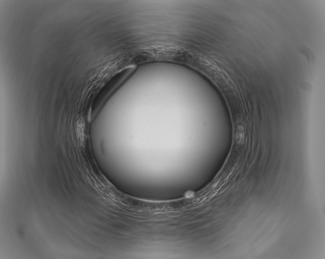 X0000111891108200907231550