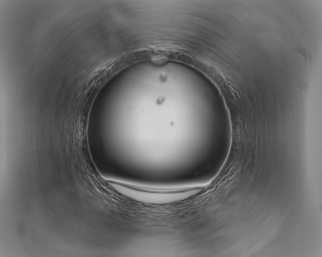 X0000111891110200907231550
