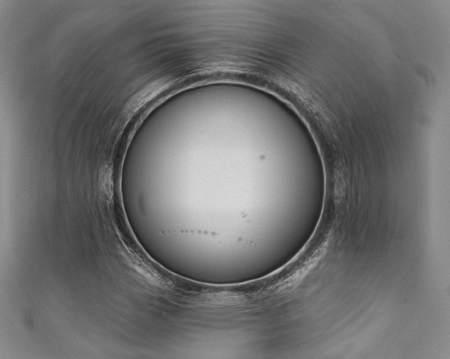 X0000111891113200907231550