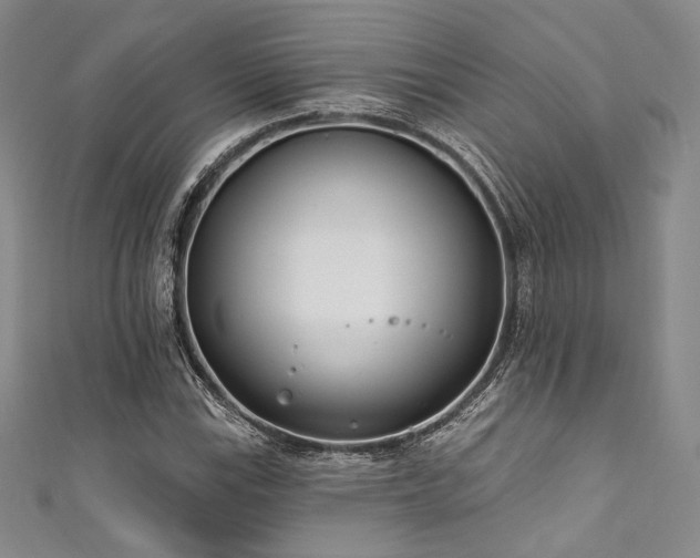 X0000111891115200907231550