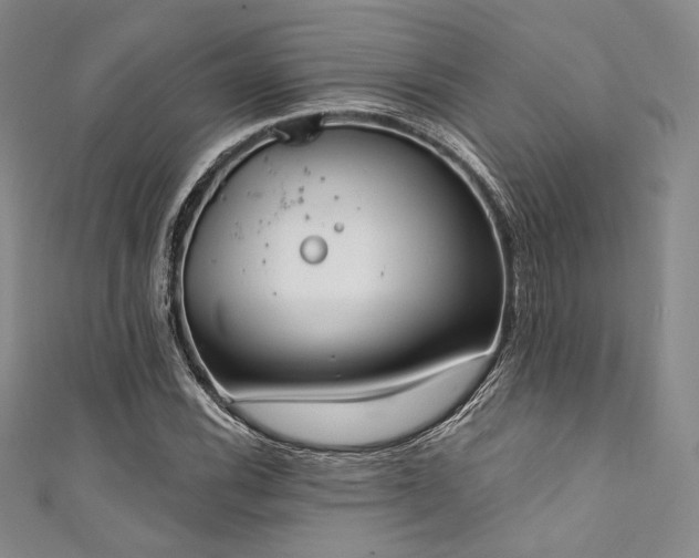 X0000111891116200907231550