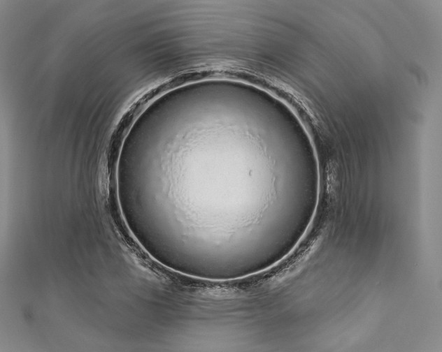X0000111891117200907231550