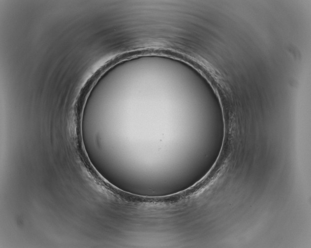 X0000111891118200907231550