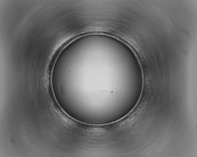 X0000111891119200907231550