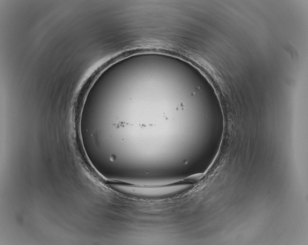 X0000111891120200907231550