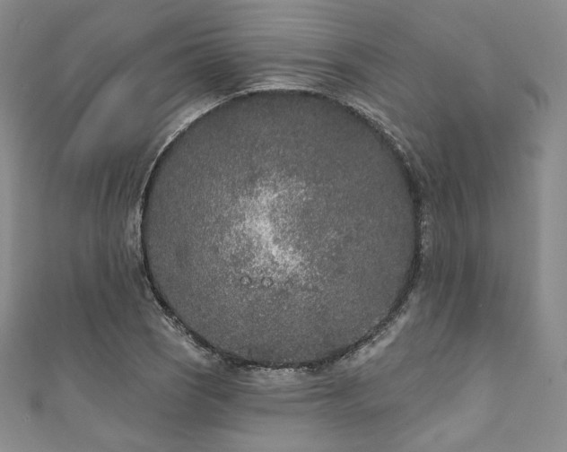 X0000111891121200907231550
