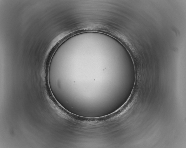 X0000111891122200907231550