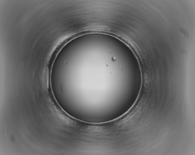 X0000111891123200907231550