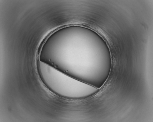 X0000111891124200907231550