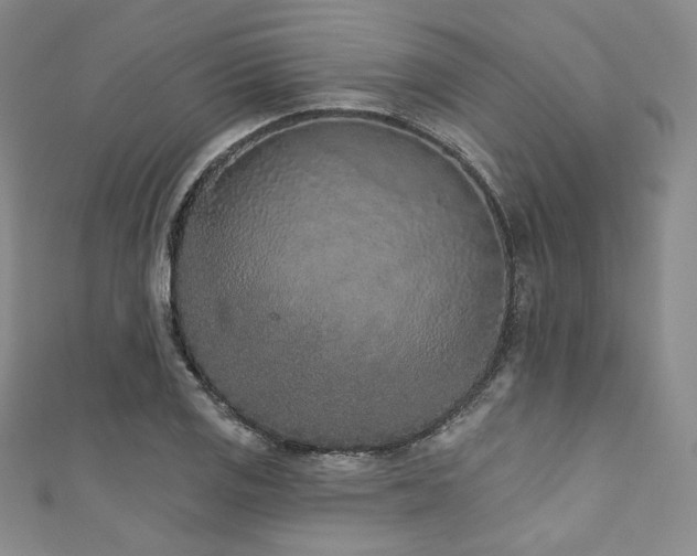 X0000111891125200907231550