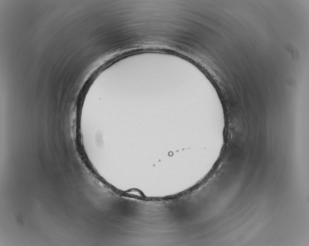 X0000111891126200907231550