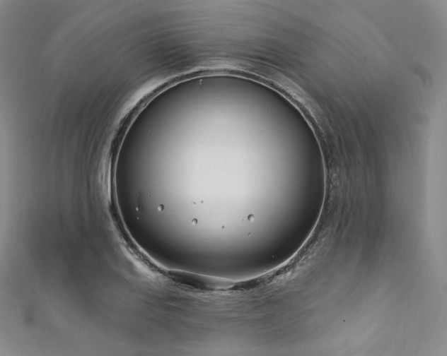 X0000111891127200907231550