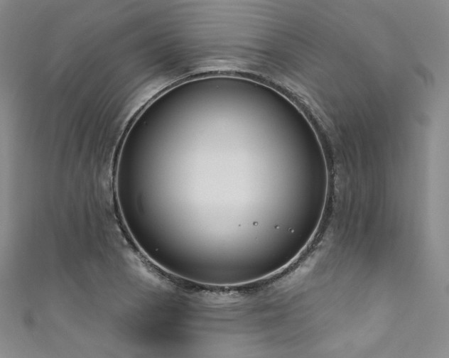 X0000111891129200907231550