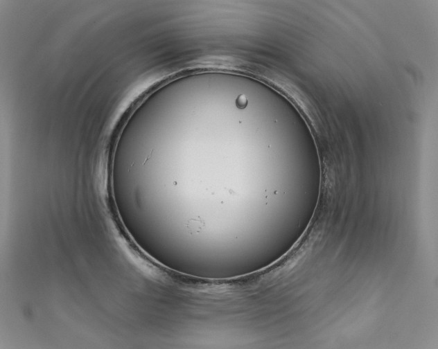 X0000111891131200907231551