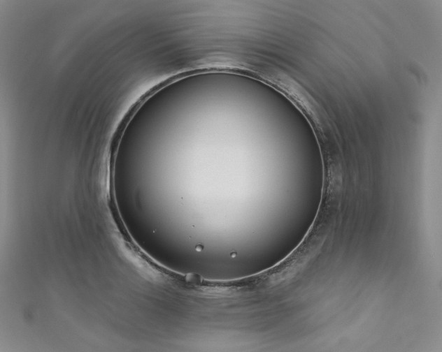 X0000111891132200907231551