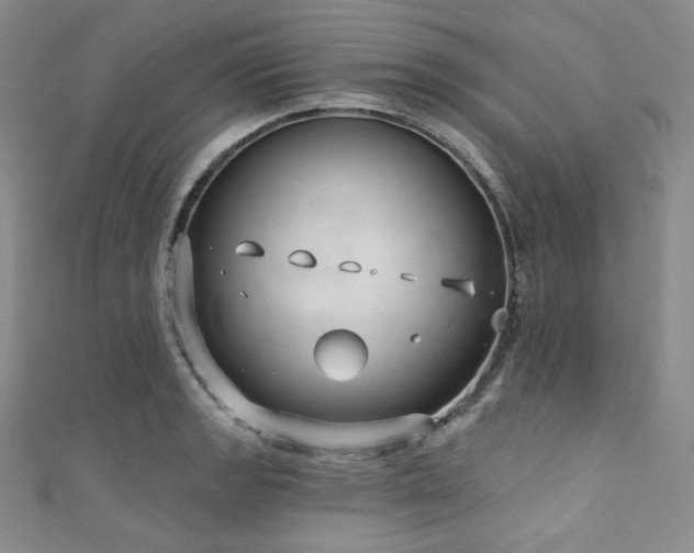 X0000111891133200907231551