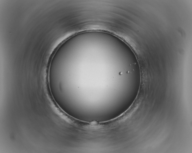 X0000111891134200907231551