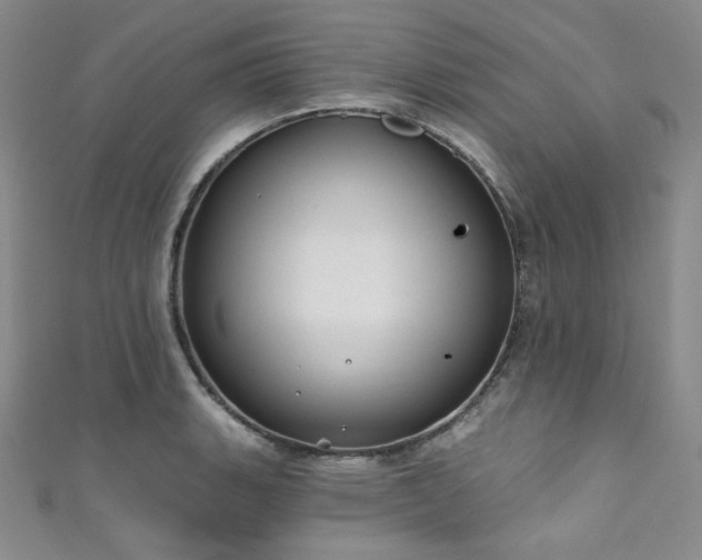 X0000111891135200907231551