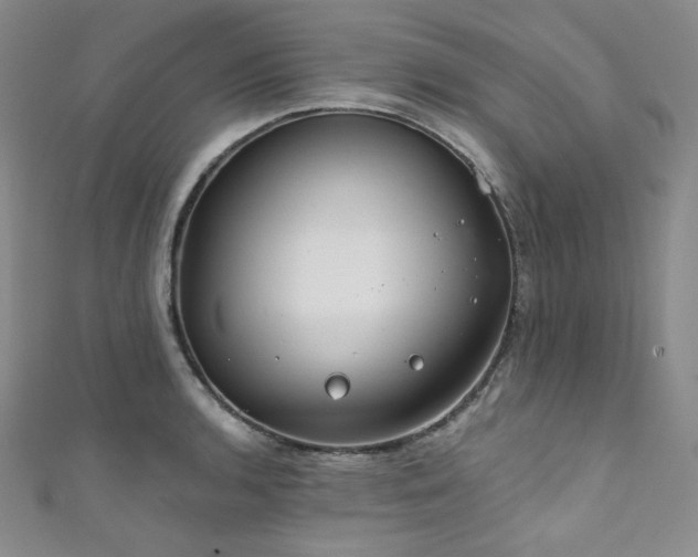 X0000111891136200907231551
