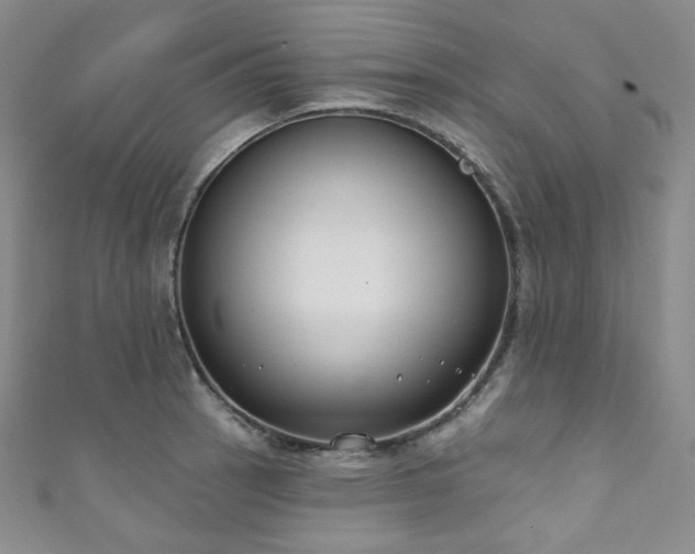 X0000111891137200907231551