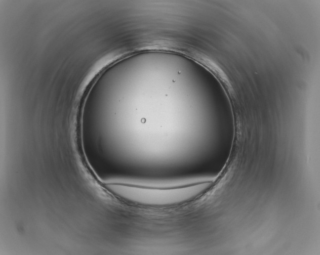 X0000111891138200907231551