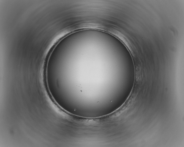 X0000111891139200907231551