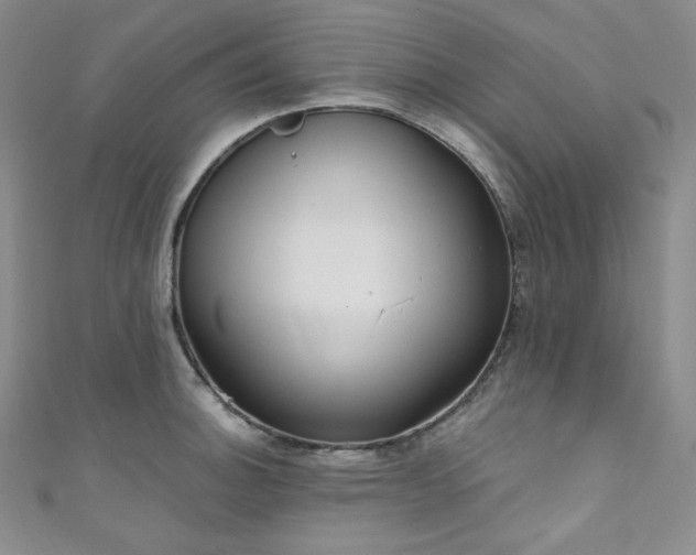 X0000111891140200907231551