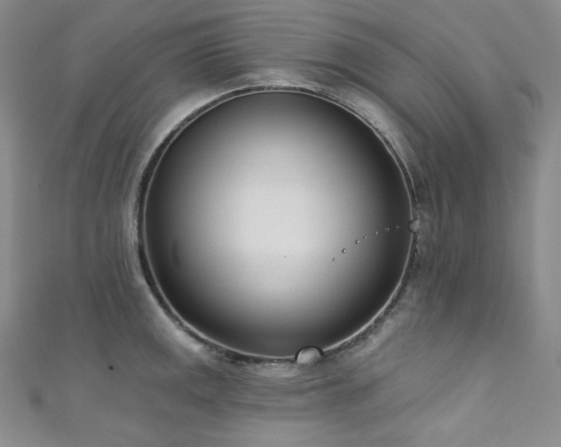 X0000111891141200907231551