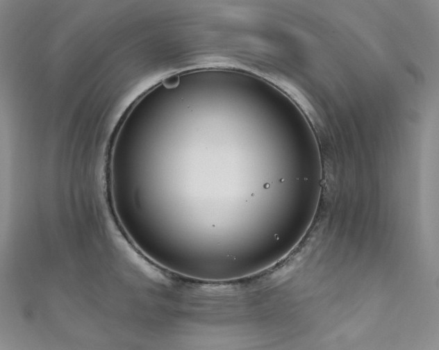 X0000111891142200907231551