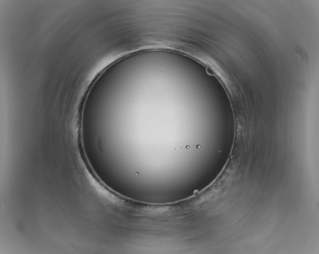 X0000111891143200907231551