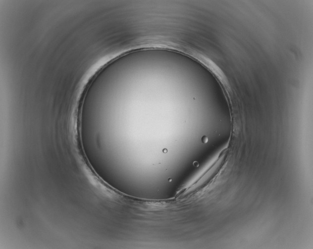 X0000111891144200907231551