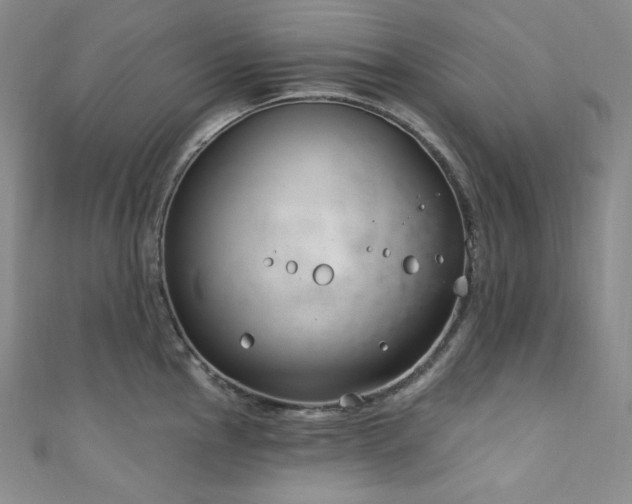 X0000111891145200907231551
