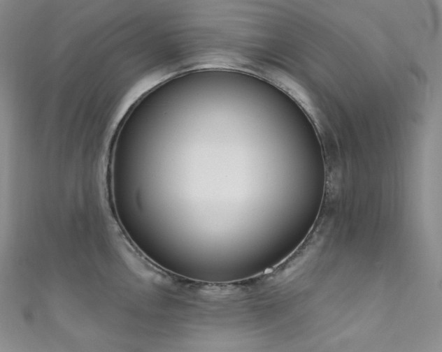 X0000111891146200907231551