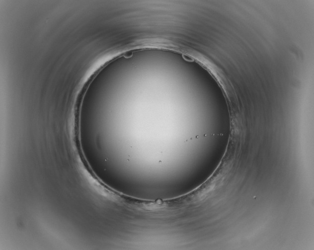 X0000111891147200907231551