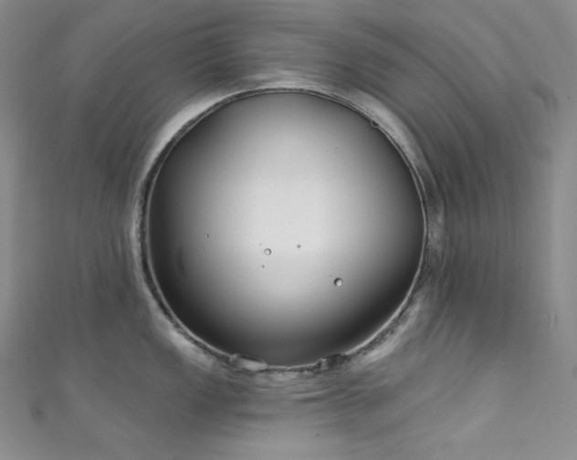 X0000111891149200907231551