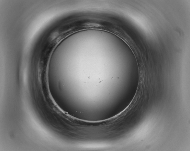 X0000111891151200907231551
