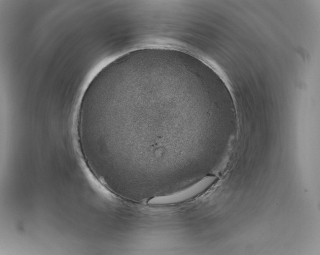 X0000111891152200907231551