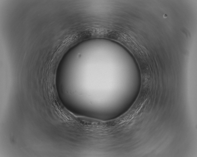 X0000111891153200907231550