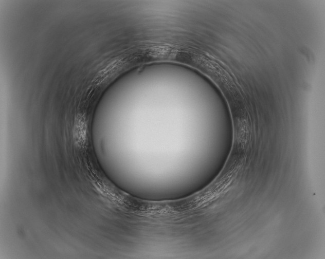 X0000111891154200907231550