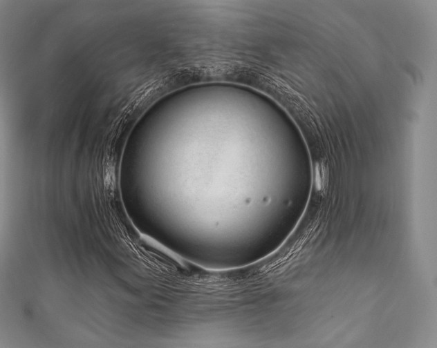 X0000111891155200907231550