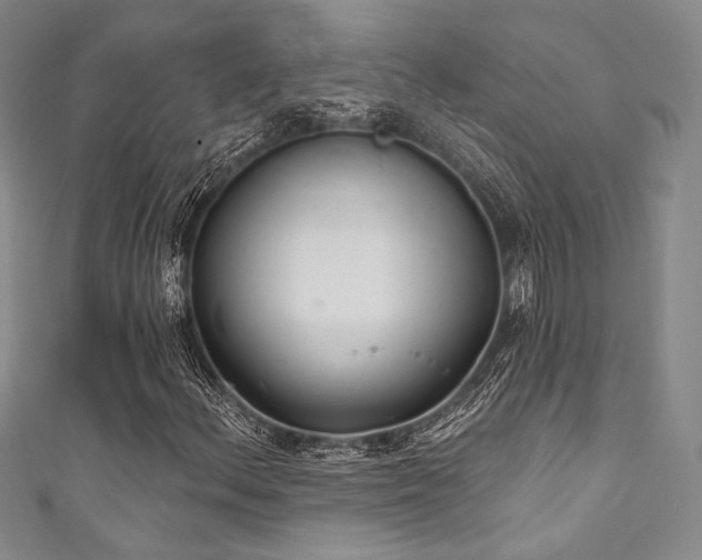 X0000111891156200907231550