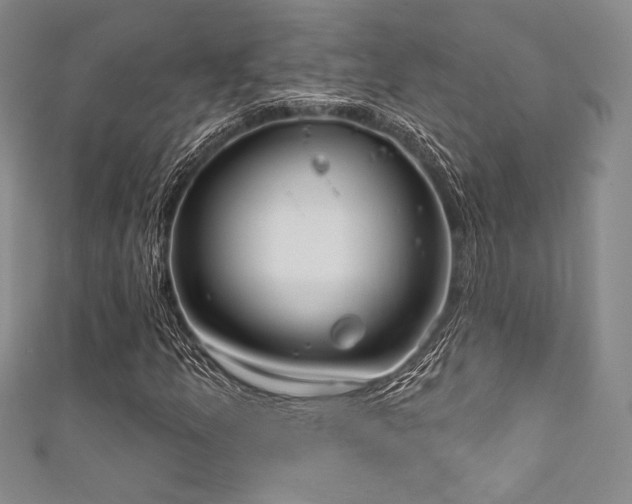 X0000111891157200907231550