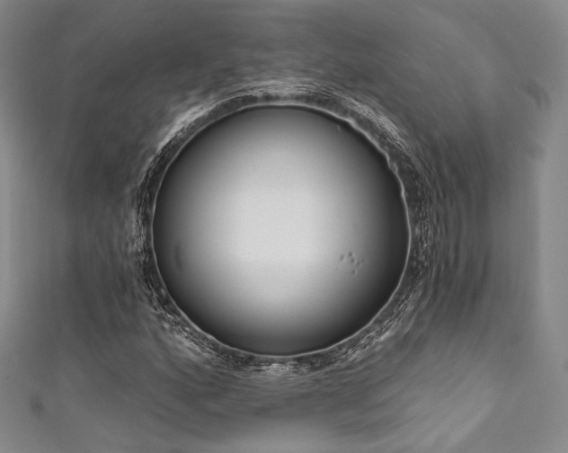 X0000111891160200907231550