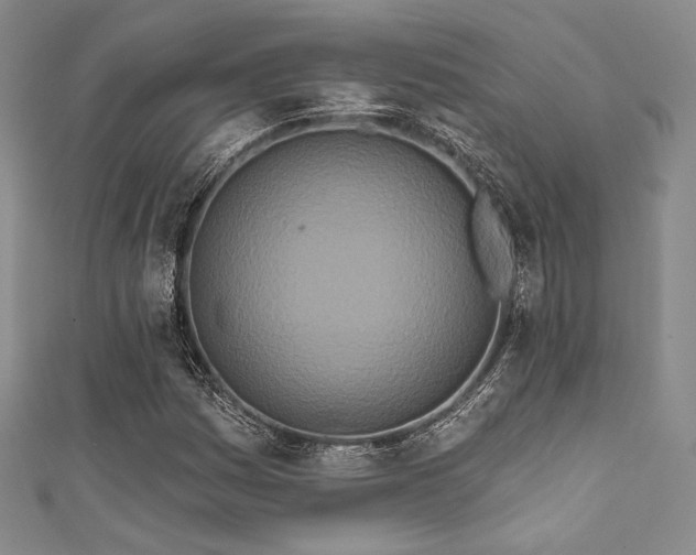 X0000111891161200907231550
