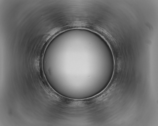 X0000111891162200907231550